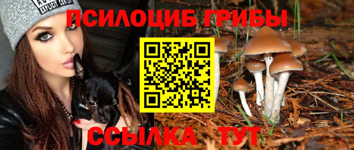 Озёрск  Галлюциногенные грибы мухоморы  Вход с VPN 