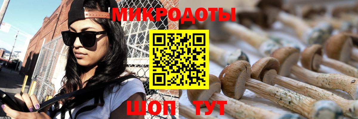 Псилоцибиновые грибы GOLDEN TEACHER Озёрск